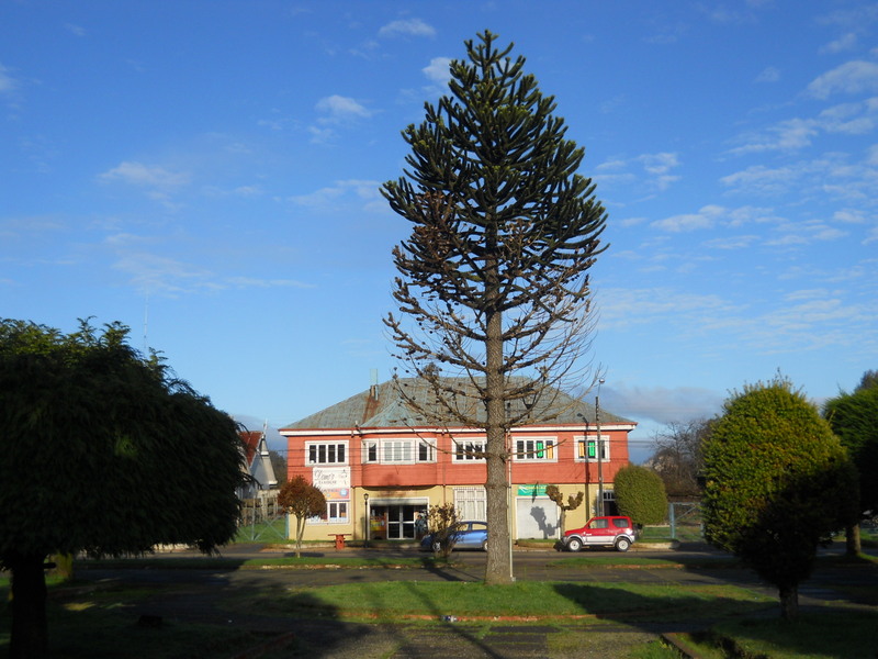 Foto: Fresia - Fresia (Los Lagos), Chile