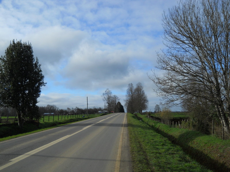 Foto: Fresia - Fresia (Los Lagos), Chile