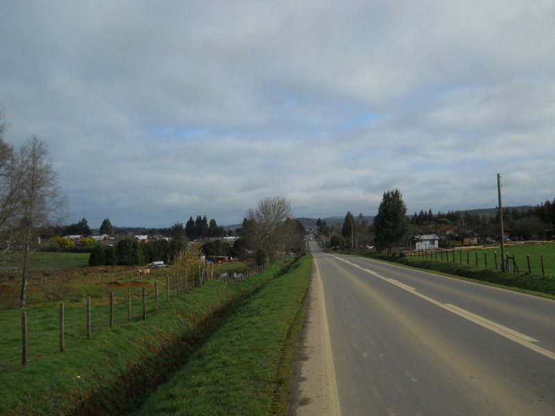 Foto: Fresia - Fresia (Los Lagos), Chile