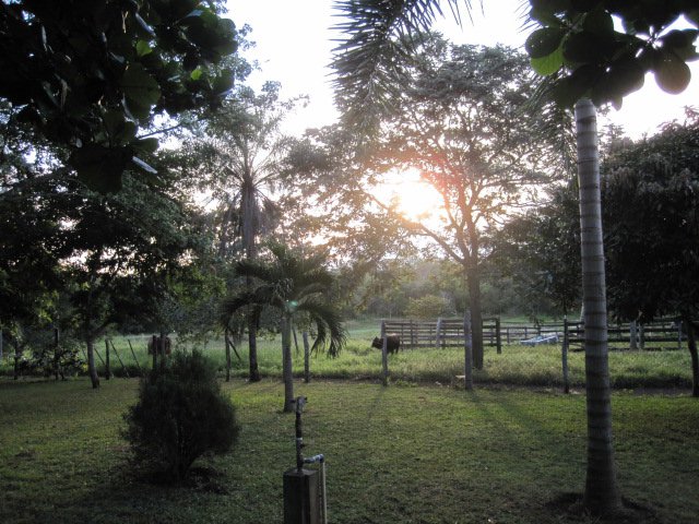 Foto: Naturaleza - San Ignacio de Velasco (Santa Cruz), Bolivia