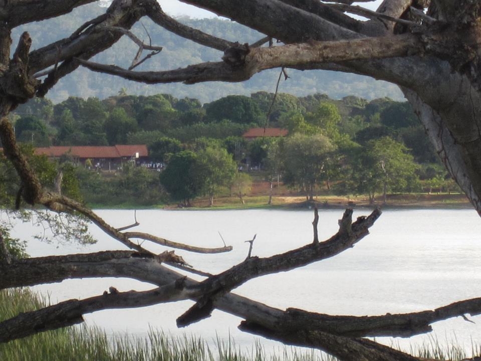 Foto: Naturaleza - San Ignacio de Velasco (Santa Cruz), Bolivia