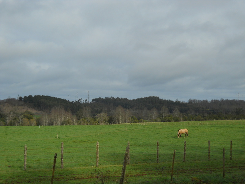 Foto: Fresia - Fresia (Los Lagos), Chile