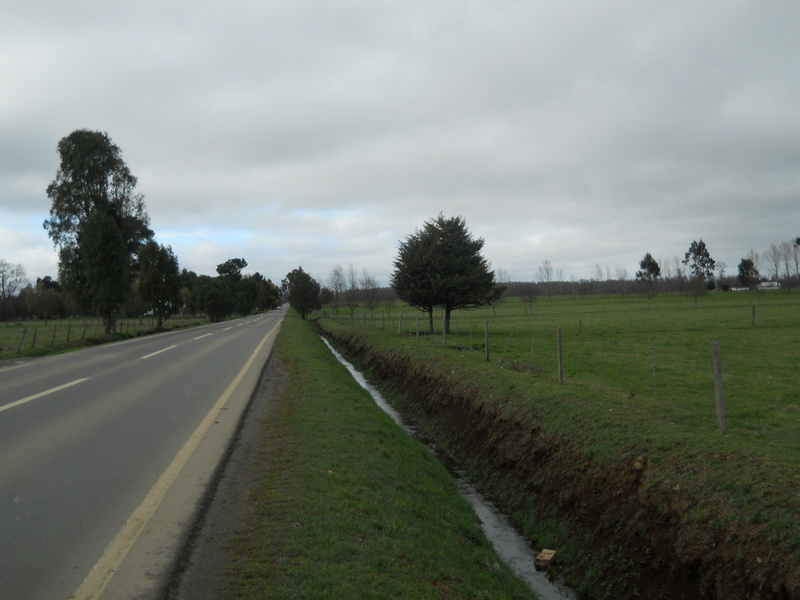 Foto: Fresia - Fresia (Los Lagos), Chile