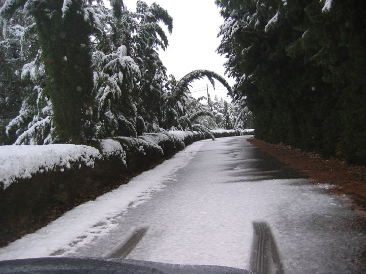 Foto: Estanca El Bolaso - Ejea de los Caballeros (Zaragoza), España