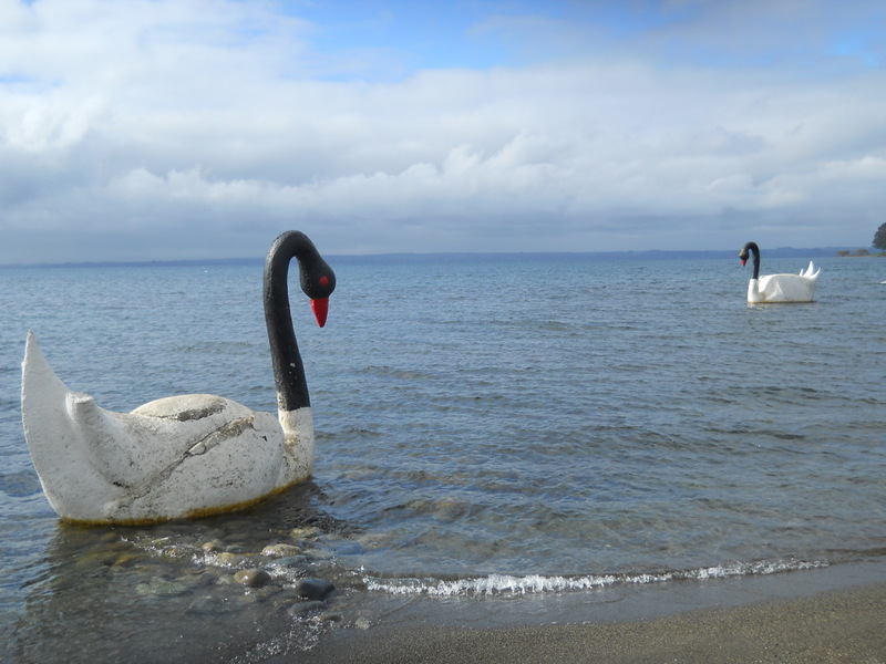 Foto: Llanquihue - Llanquihue (Los Lagos), Chile