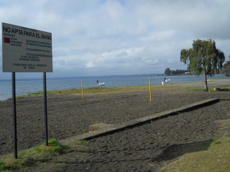 Foto: Llanquihue - Llanquihue (Los Lagos), Chile