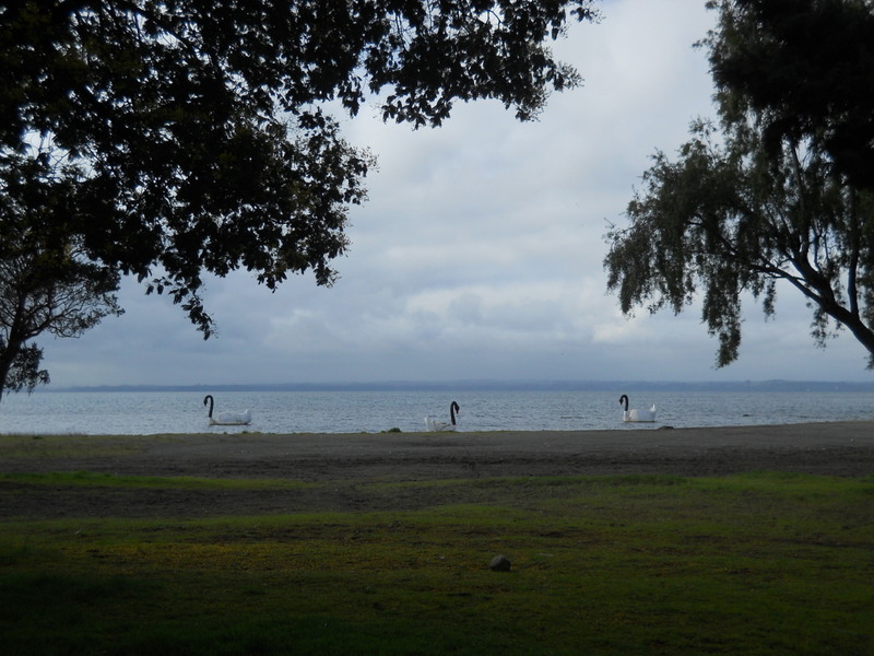 Foto: Llanquihue - Llanquihue (Los Lagos), Chile