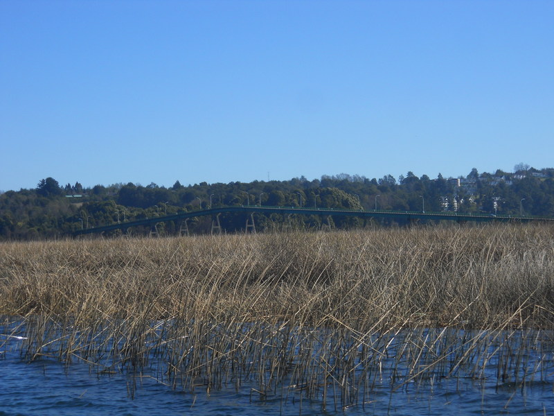 Foto: Valdivia - Valdivia (Región de Los Ríos), Chile