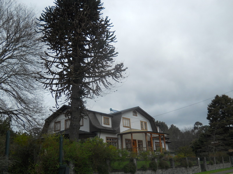 Foto: Frutillar - Frutillar (Los Lagos), Chile