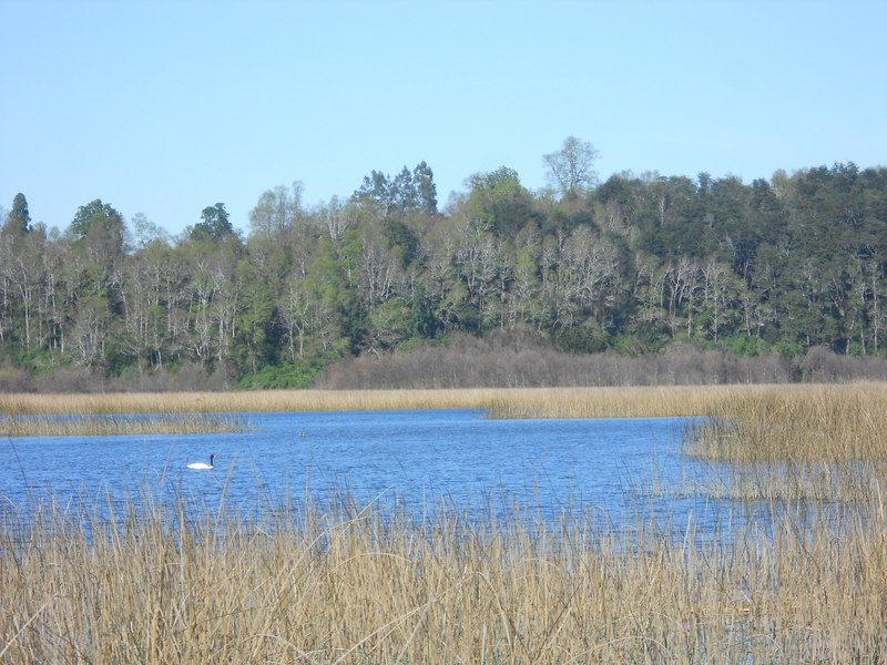 Foto: Valdivia - Valdivia (Región de Los Ríos), Chile