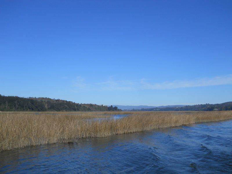 Foto: Valdivia - Valdivia (Región de Los Ríos), Chile