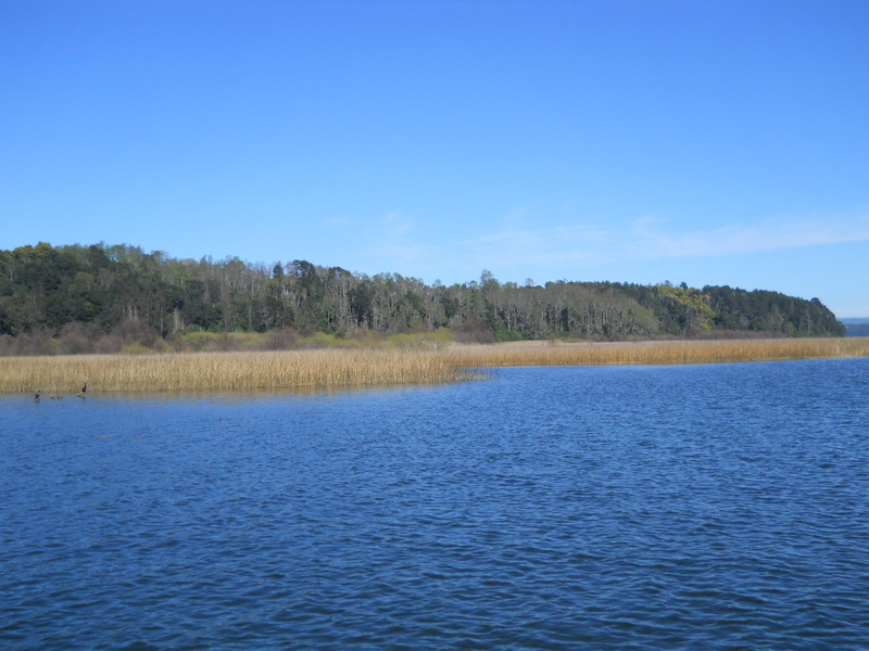 Foto: Valdivia - Valdivia (Región de Los Ríos), Chile