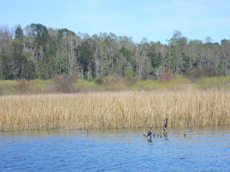 Foto: Valdivia - Valdivia (Región de Los Ríos), Chile