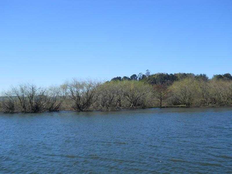 Foto: Valdivia - Valdivia (Región de Los Ríos), Chile