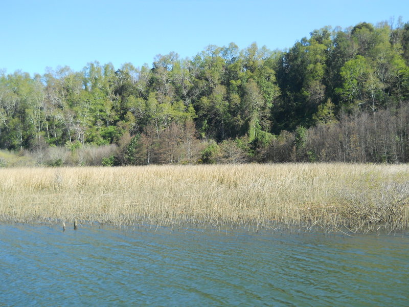 Foto: Valdivia - Valdivia (Región de Los Ríos), Chile