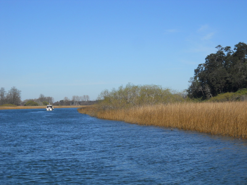 Foto: Valdivia - Valdivia (Región de Los Ríos), Chile