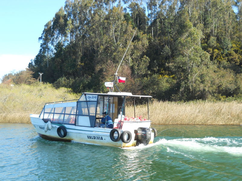 Foto: Valdivia - Valdivia (Región de Los Ríos), Chile