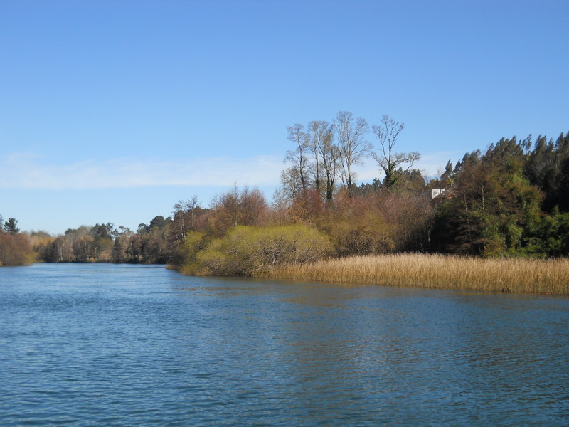 Foto: Valdivia - Valdivia (Región de Los Ríos), Chile