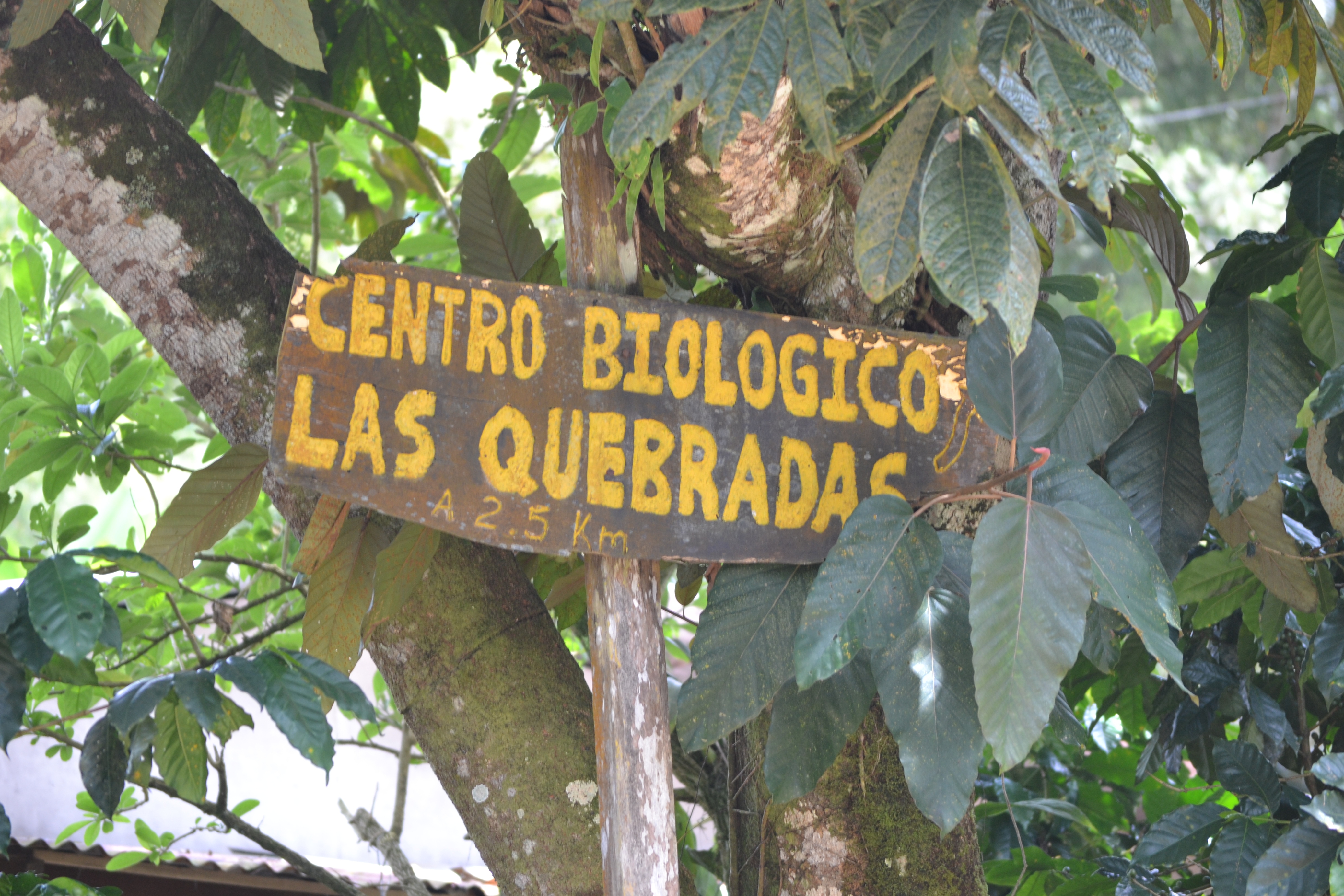 Foto: Las Quebradas,  de Perez Zeledón - Las Quebradas de Perez Zeledón (San José), Costa Rica