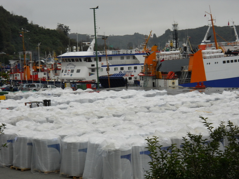Foto: Puerto Montt - Puerto Montt (Región de Los Ríos), Chile