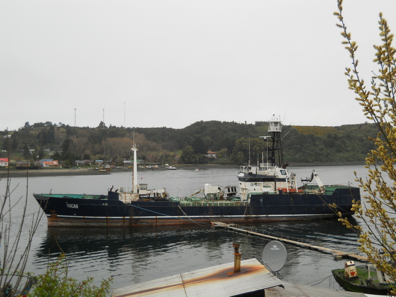 Foto: Puerto Montt - Puerto Montt (Los Lagos), Chile