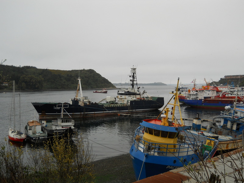 Foto: Puerto Montt - Puerto Montt (Los Lagos), Chile