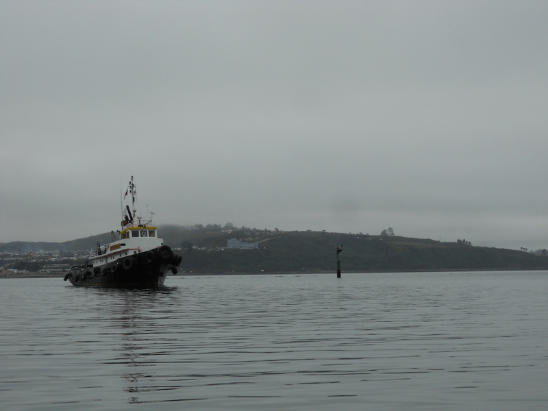 Foto: Puerto Montt - Puerto Montt (Los Lagos), Chile