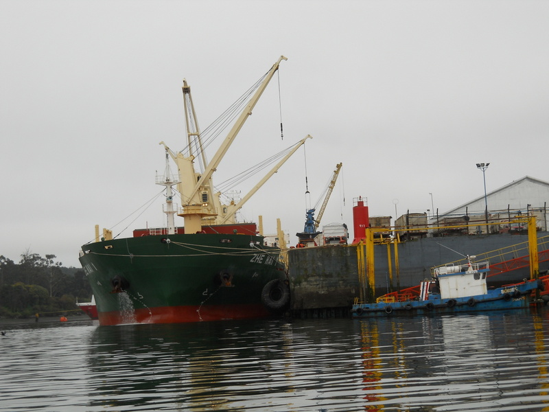 Foto: Puerto Montt - Puerto Montt (Los Lagos), Chile
