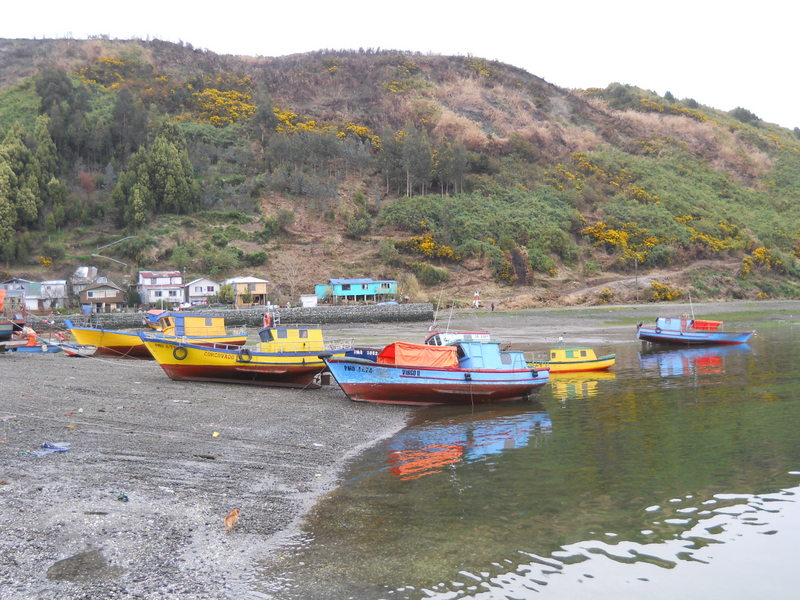 Foto: Isla Tenglo - Puerto Montt (Los Lagos), Chile