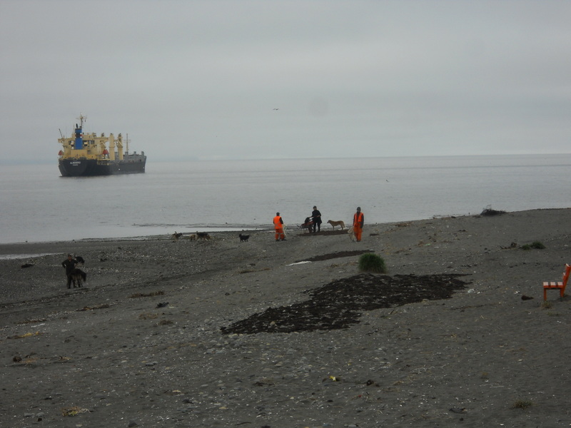 Foto: Isla Tenglo - Puerto Montt (Los Lagos), Chile