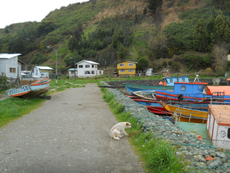 Foto: Isla Tenglo - Puerto Montt (Los Lagos), Chile
