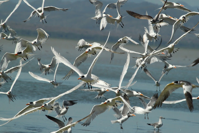 Foto de El Hatillo (Anzoátegui), Venezuela