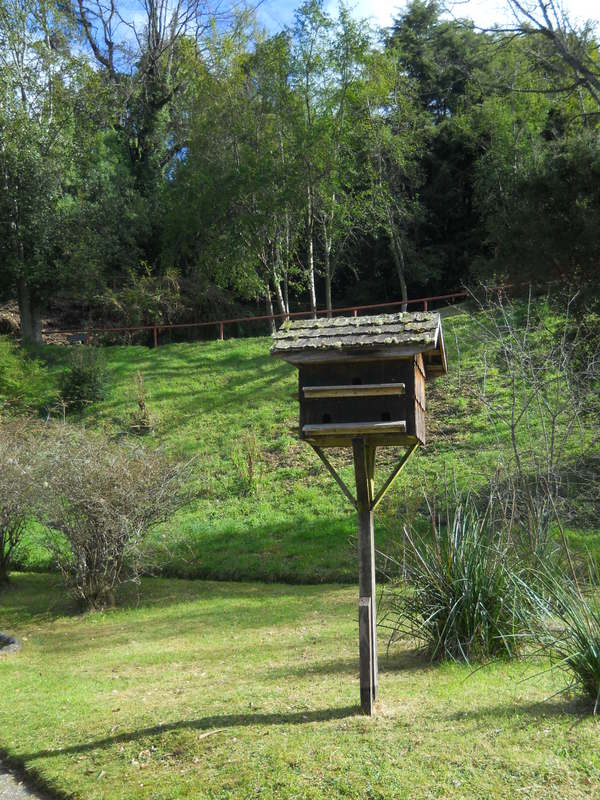 Foto: Museo Aleman - Frutillar (Los Lagos), Chile