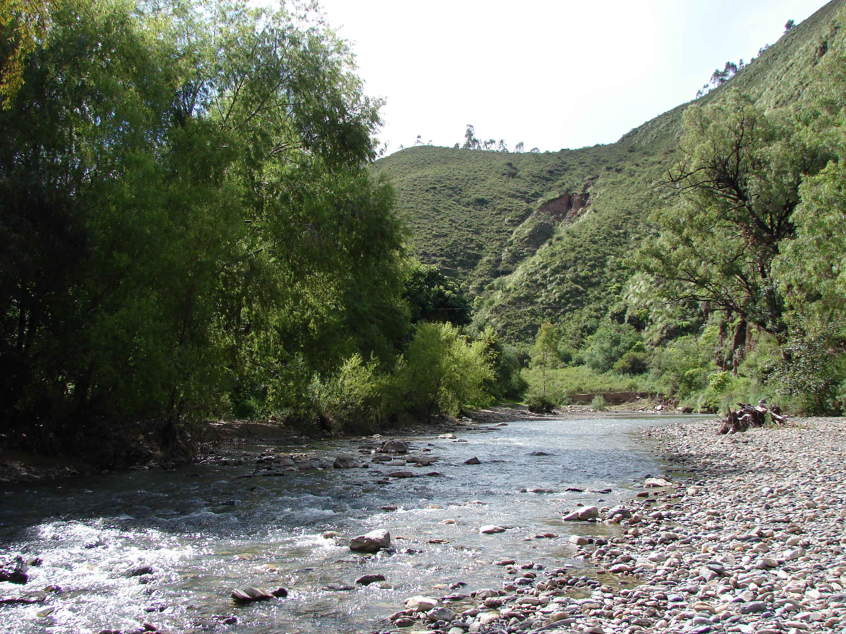 Foto Tolomosa Sur Rio arriba Tolomosa (Tarija), Bolivia