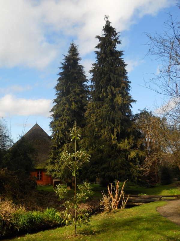 Foto: Museo Aleman - Frutillar (Los Lagos), Chile