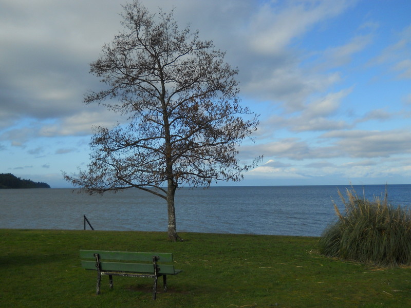 Foto: Frutillar - Frutillar (Los Lagos), Chile