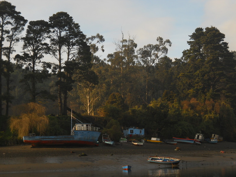 Foto: Puerto Montt - Puerto Montt (Los Lagos), Chile
