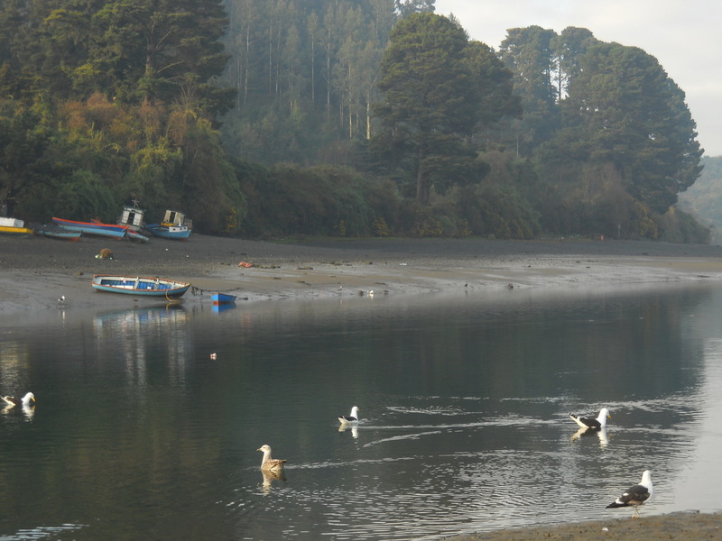 Foto: Puerto Montt - Puerto Montt (Los Lagos), Chile