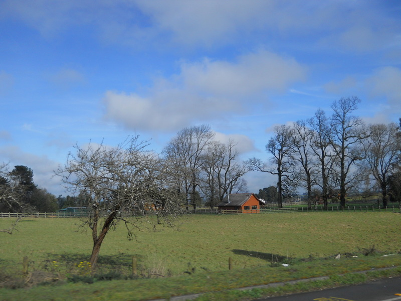 Foto: Puerto Varas - Puerto Varas (Los Lagos), Chile