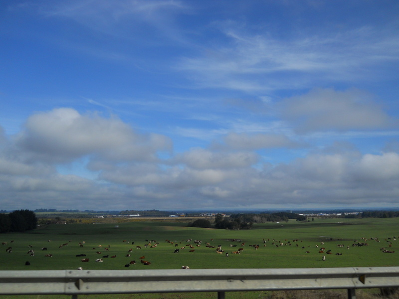 Foto: Puerto Varas - Puerto Varas (Los Lagos), Chile