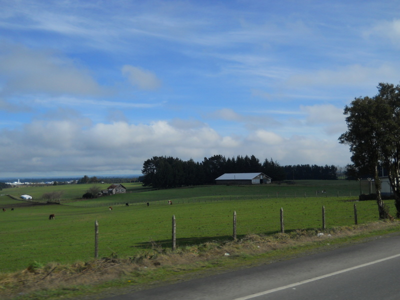 Foto: Puerto Varas - Puerto Varas (Los Lagos), Chile
