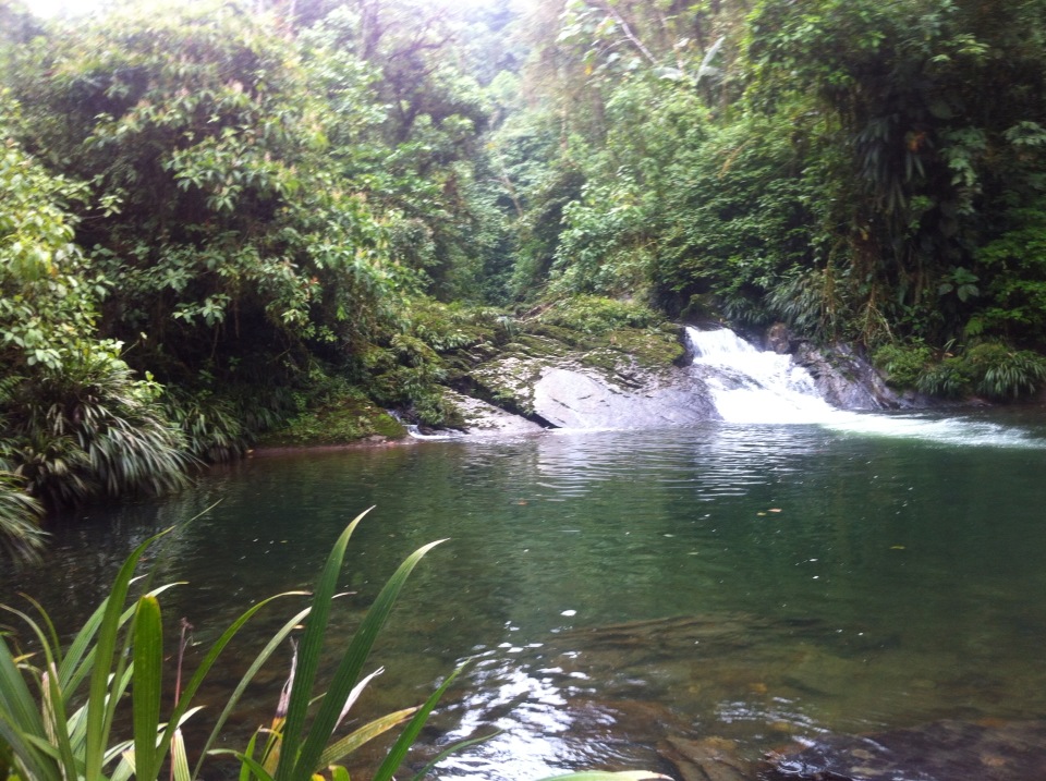 Foto: Paisaje - Santa Clara (Pastaza), Ecuador