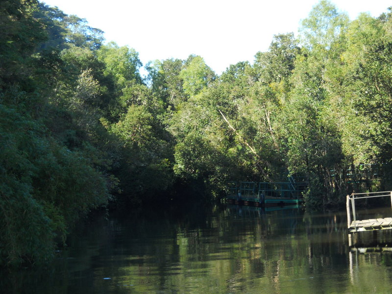 Foto: Puerto Varas - Puerto Varas (Los Lagos), Chile