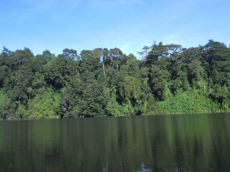 Foto: Puerto Varas - Puerto Varas (Los Lagos), Chile