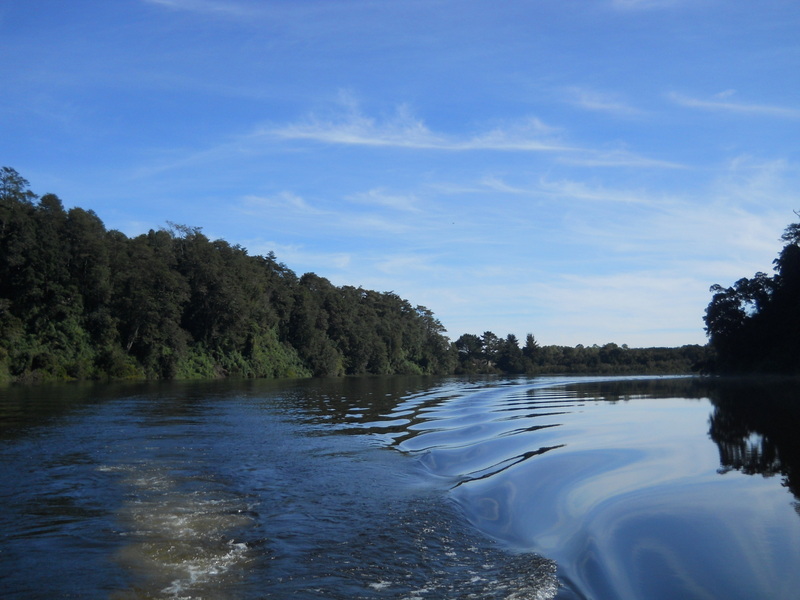 Foto: Puerto Varas - Puerto Varas (Los Lagos), Chile