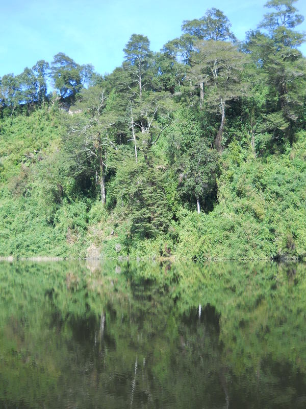 Foto: Puerto Varas - Puerto Varas (Los Lagos), Chile