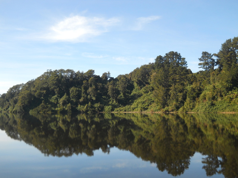 Foto: Puerto Varas - Puerto Varas (Los Lagos), Chile