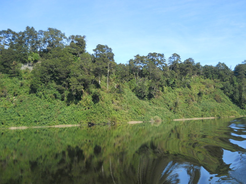 Foto: Puerto Varas - Puerto Varas (Los Lagos), Chile