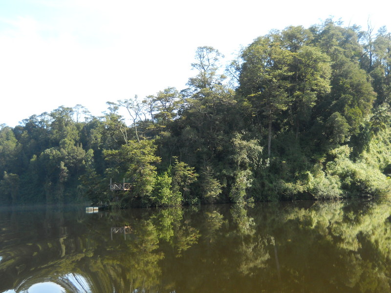 Foto: Puerto Varas - Puerto Varas (Los Lagos), Chile