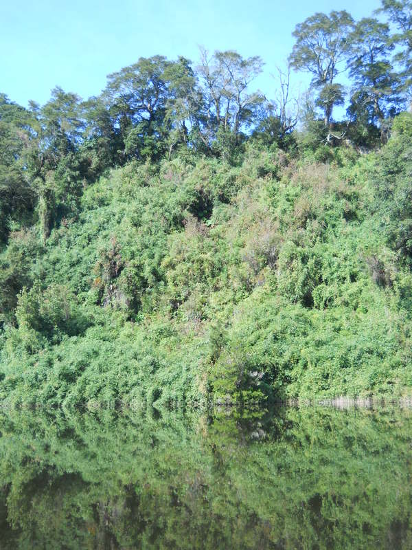 Foto: Puerto Varas - Puerto Varas (Los Lagos), Chile